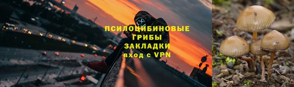 молекула духа Вуктыл