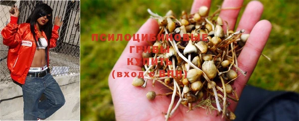 прущая мука Покровск