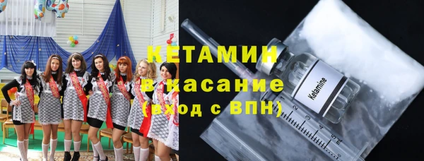 шишки Ухта