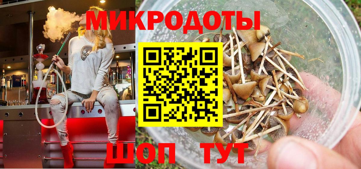 Псилоцибиновые грибы MAGIC MUSHROOMS Энгельс