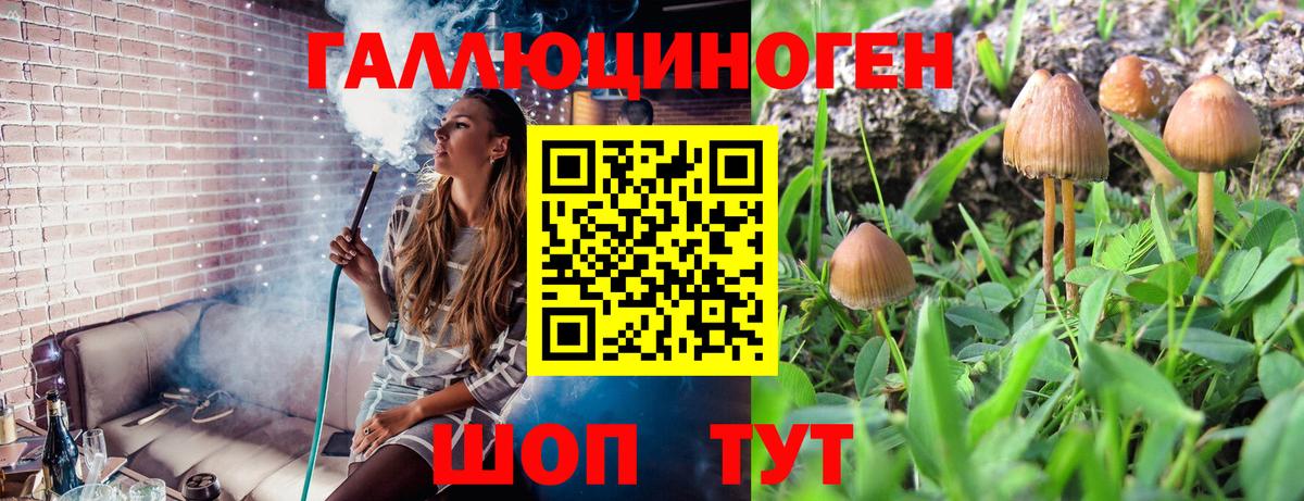 Галлюциногенные грибы MAGIC MUSHROOMS  Вход с VPN  Галлюциногенные грибы мицелий  Энгельс 